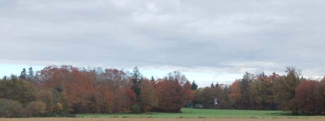 pas_de_photo